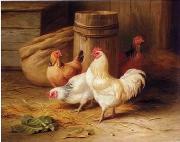 unknow artist Cock 187 Spain oil painting artist